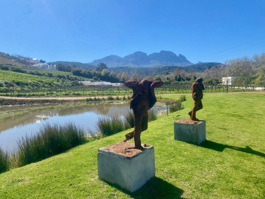 4 Bedroom Property for Sale in Weltevreden Hills Estate Western Cape